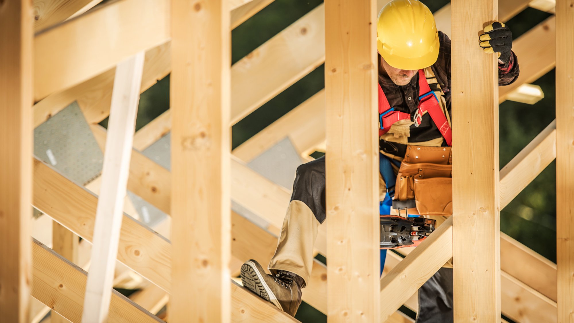 budowy domów szkieletowych w technologii drewnianej